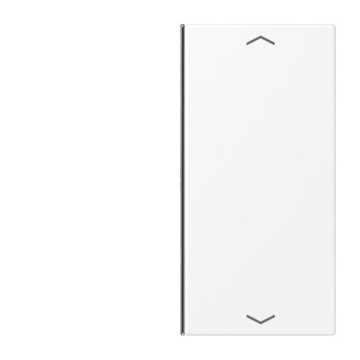 Jung Taste 2fach, mit Pfeilsymbolen, F40, Serie LS, schneeweiß matt LS402TSAPWWM