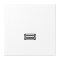Jung Multimedia-Anschlusssystem USB 2.0, Serie LS, schneeweiß matt MALS1122WWM