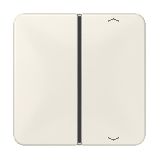 Jung Taste 1fach, mit Pfeilsymbolen, F40, Serie CD, weiß CD401TSAP