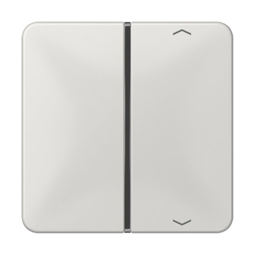 Jung Taste 1fach, mit Pfeilsymbolen, F40, Serie CD, lichtgrau CD401TSAPLG