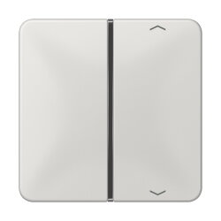 Jung Taste 1fach, mit Pfeilsymbolen, F40, Serie CD,...