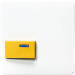 Jung Abdeckung für Ackermann, Typ 73642 D, gelb,...