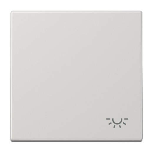 Jung Wippe 1fach, Symbol Licht, Duroplast, Serie LS, lichtgrau LS990LLG