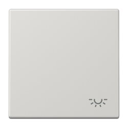 Jung Wippe 1fach, Symbol Licht, Duroplast, Serie LS,...