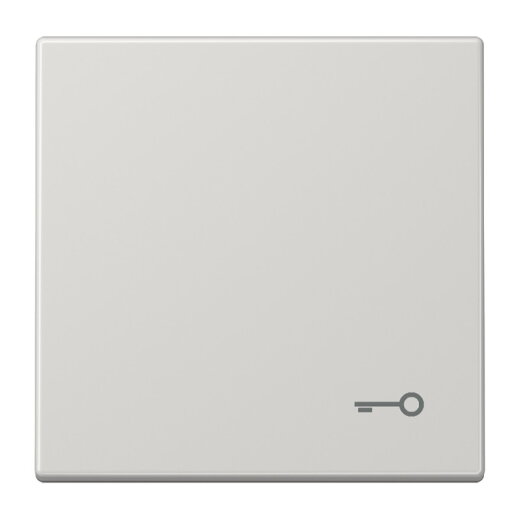 Jung Wippe, Symbol Tür, Duroplast, Serie LS, lichtgrau LS990TLG