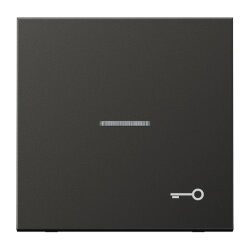 Jung Wippe mit Lichtleiter, Symbol Tür, Aluminium...