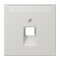 Jung Abdeckung für IAE/UAE-Anschlussdosen 1 x 8-polig, mit Schriftfeld, Thermoplast, Serie LS, lichtgrau LS969-1NAUALG