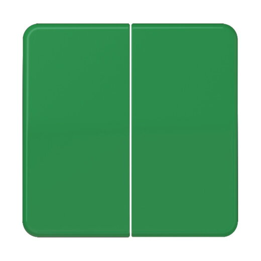 Jung Wippe 2fach, Duroplast, Serie CD, grün CD595GN