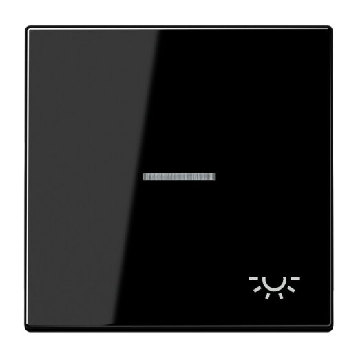 Jung Wippe 1fach mit Lichtleiter, Symbol Licht, Duroplast, Serie LS, schwarz LS990KO5LSW