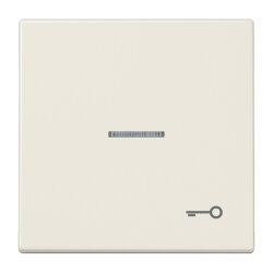 Jung Wippe mit Lichtleiter, Symbol Tür, Duroplast,...