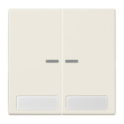 Jung Wippe 2fach mit Lichtleiter, mit Schriftfeld,...