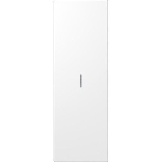 Jung Großflächenwippe (70 x 212,4 mm), mit Lichtleiter, Serie LS, alpinweiß (lackierter Edelstahl) ES2993KO5WW