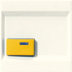 Jung Abdeckung für Ackermann, Typ 73642 D, gelb,...