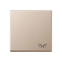 Jung Wippe 1fach, Symbol Licht, Serie A, champagner A590LCH