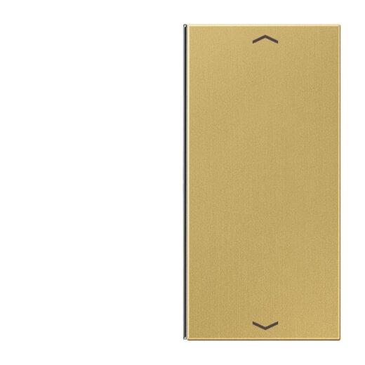 Jung Taste 2fach, mit Pfeilsymbolen, F40, Serie LS, Messing classic ME2402TSAPC