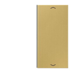 Jung Taste 2fach, mit Pfeilsymbolen, F40, Serie LS,...