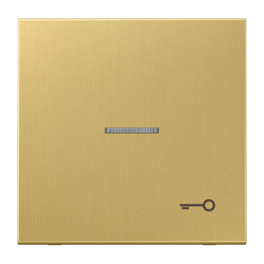 Jung Wippe mit Lichtleiter, Symbol Tür, Messing, Serie LS, Messing classic ME2990KO5TC