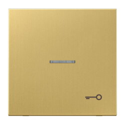 Jung Wippe mit Lichtleiter, Symbol Tür, Messing,...