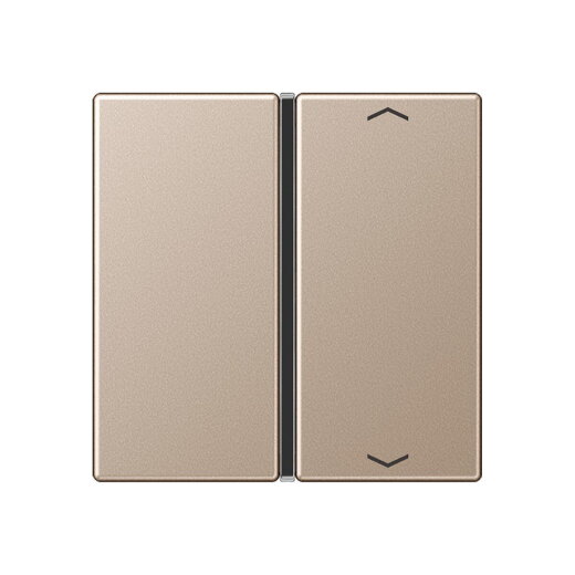 Jung Taste 1fach, mit Pfeilsymbolen, F40, Serie A, champagner A401TSAPCH