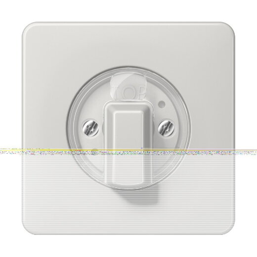 Jung Abdeckung für Drehschalter, Duroplast, Serie CD, lichtgrau CD1541LG