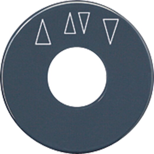 Jung Skalenscheibe, mit Pfeilsymbolen, anthrazit SKS1234.10