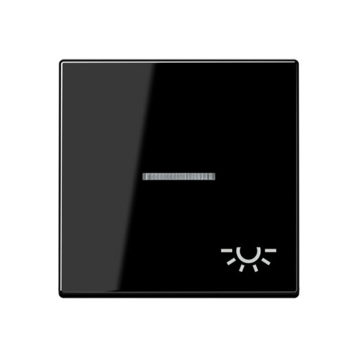Jung Wippe 1fach mit Lichtleiter, Symbol Licht, Thermoplast, Serie A, schwarz A590BFKO5LSW