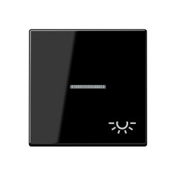 Jung Wippe 1fach mit Lichtleiter, Symbol Licht,...