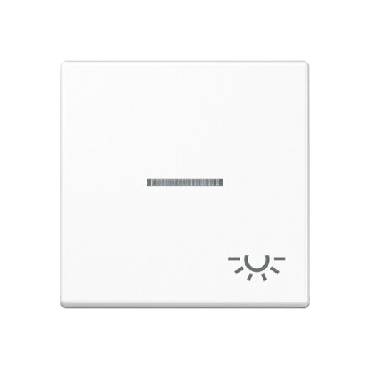 Jung Wippe 1fach mit Lichtleiter, Symbol Licht, Thermoplast, Serie A, alpinweiß A590BFKO5LWW