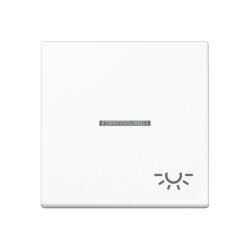 Jung Wippe 1fach mit Lichtleiter, Symbol Licht,...