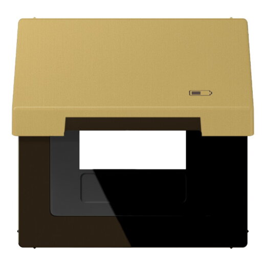 Jung Klappdeckel (mit Rückstellfeder) inklusive Zentralplatte, Symbol Charger, Serie LS, Messing classic ME2990KLUSBC