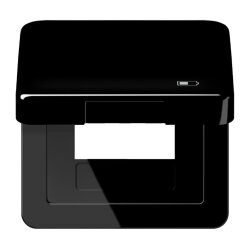 Jung Klappdeckel inklusive Zentralplatte, Symbol Charger,...