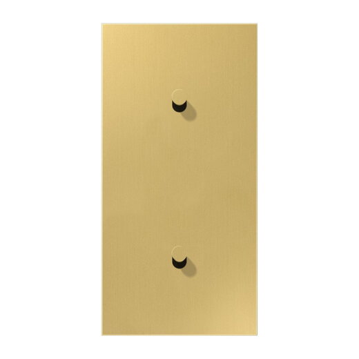 Jung Abdeckung mit Kipphebel, Kegel, 2fach, 2 x 1 Kipphebel, senkrecht, Serie LS 1912, Messing classic ME12-20CK25