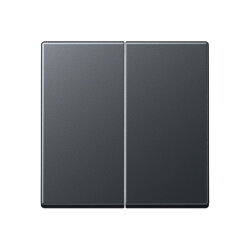 Jung LB-Management Taster 2fach, Thermoplast lackiert,...