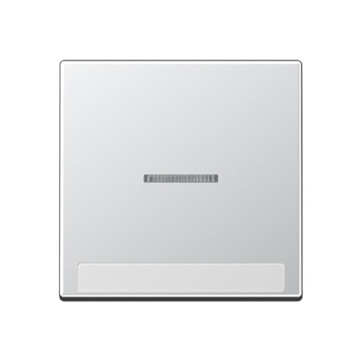 Jung Wippe 1fach mit Lichtleiter, mit Schriftfeld, Thermoplast lackiert, Serie A, aluminium A590BFNAKO5AL