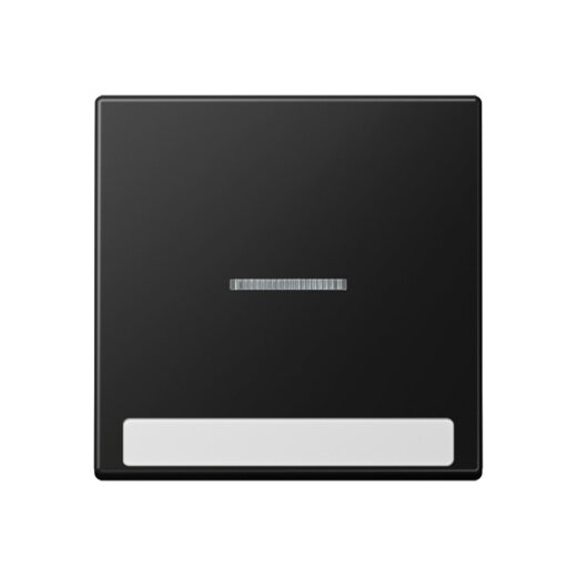 Jung Wippe 1fach mit Lichtleiter, mit Schriftfeld, Thermoplast lackiert, Serie A, graphitschwarz matt A590BFNAKO5SWM