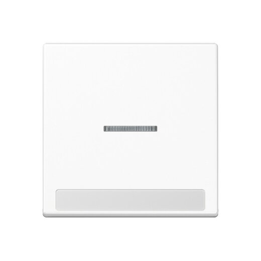 Jung Wippe 1fach mit Lichtleiter, mit Schriftfeld, Thermoplast, Serie A, alpinweiß A590BFNAKO5WW
