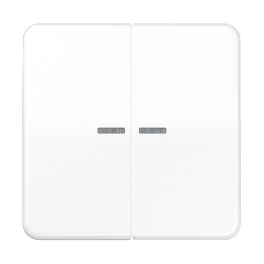 Jung Wippe mit Lichtleiter für Taster 2fach, Duroplast, Serie CD, alpinweiß CD102KO5WW