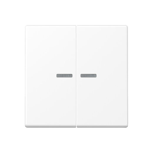 Jung Wippe mit Lichtleiter für Taster 2fach, Thermoplast lackiert, Serie A, schneeweiß matt A102KO5BFWWM