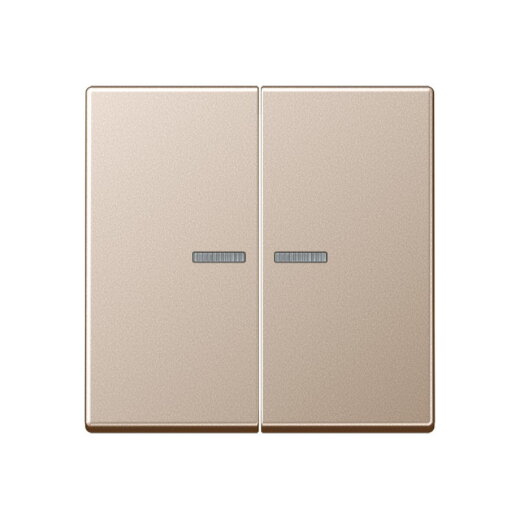 Jung Wippe mit Lichtleiter für Taster 2fach, Serie A, champagner A102KO5CH