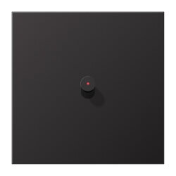 Jung Abdeckung mit Kipphebel mit Kalotte, Kegel, 1fach, 1...