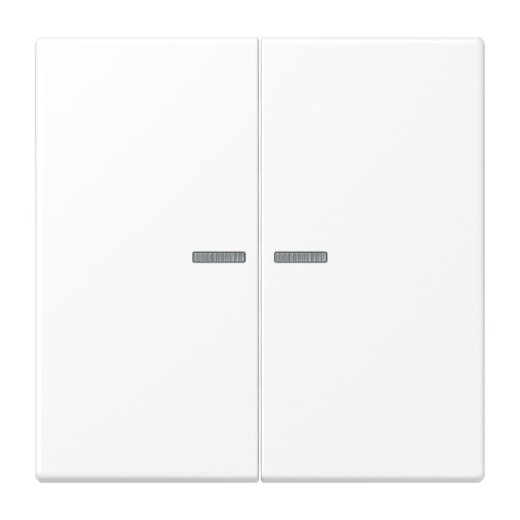 Jung Wippe mit Lichtleiter für Taster 2fach, Serie LS, schneeweiß matt LS102KO5WWM