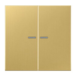 Jung Wippe mit Lichtleiter für Taster 2fach,...