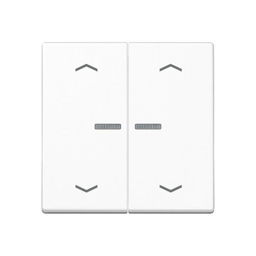 Jung Wippe mit Lichtleiter, mit Pfeilsymbolen für Taster 2fach, Duroplast, Serie A, alpinweiß A102KO5PWW