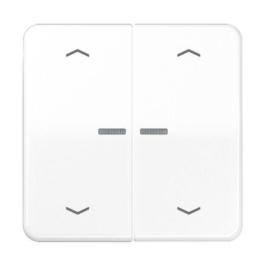 Jung Wippe mit Lichtleiter, mit Pfeilsymbolen für Taster 2fach, Duroplast, Serie CD, alpinweiß CD102KO5PWW