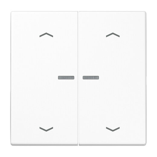 Jung Wippe mit Lichtleiter, mit Pfeilsymbolen für Taster 2fach, Duroplast, Serie LS, alpinweiß LS102KO5PWW