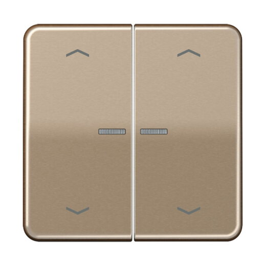Jung Wippe mit Lichtleiter, mit Pfeilsymbolen für Taster 2fach, Serie CD, gold-bronze CD102KO5PGB