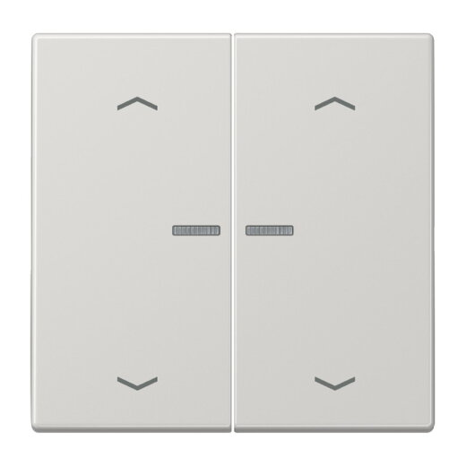 Jung Wippe mit Lichtleiter, mit Pfeilsymbolen für Taster 2fach, Duroplast, Serie LS, lichtgrau LS102KO5PLG
