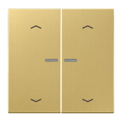 Jung Wippe mit Lichtleiter, mit Pfeilsymbolen für...