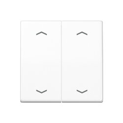 Jung Wippe, mit Pfeilsymbolen für Taster 2fach,...