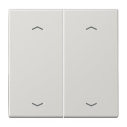 Jung Wippe, mit Pfeilsymbolen für Taster 2fach,...